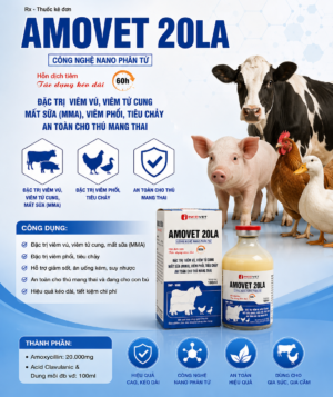 AMOXVET LA
