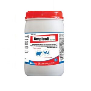 AMPICOLI THẢO MỘC