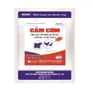 CẢM CÚM