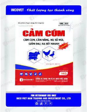 CẢM CÚM