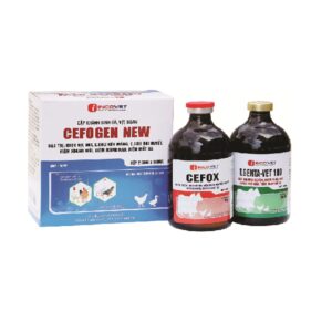 CẶP GÀ VỊT