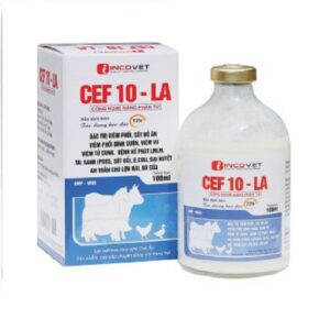 CEF 10 - LA