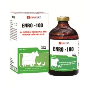 ENRO 100