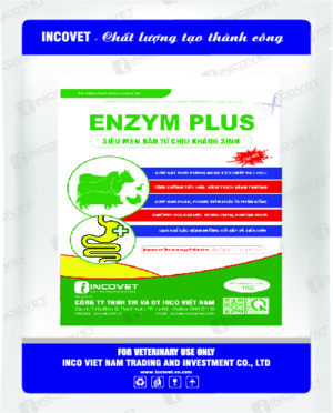 ENZYM PLUS