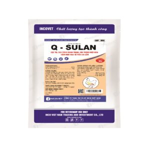 Q - SULAN