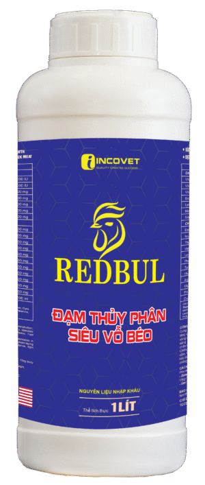 RERBUL - ĐẠM THỦY PHÂN