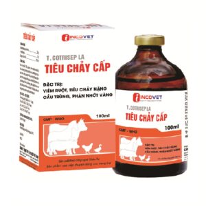 TIÊU CHẢY CẤP