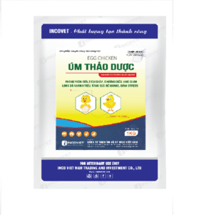 ÚM THẢO DƯỢC