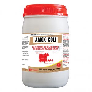 AMOX - COLI 20%