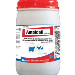 AMPICOLI THẢO MỘC