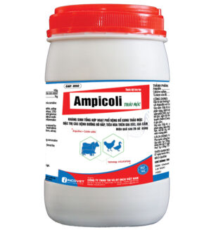 AMPICOLI THẢO MỘC