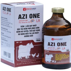 AZI ONE