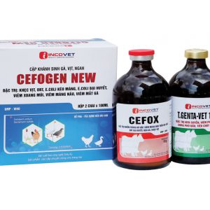 CẶP GÀ VỊT