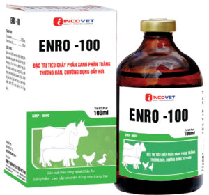 ENRO 100