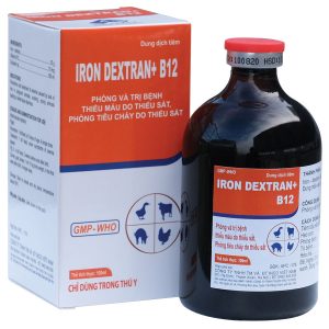 FE + B12