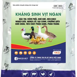 K/S VỊT NGAN