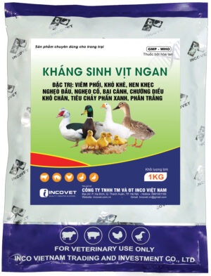 K/S VỊT NGAN