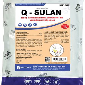 Q - SULAN