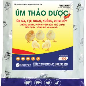 ÚM GÀ THẢO DƯỢC