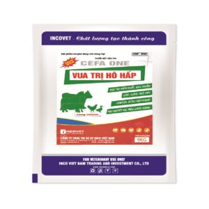 VUA TRỊ HÔ HẤP
