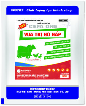 VUA TRỊ HÔ HẤP