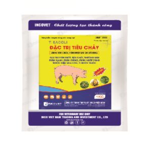 ĐẶC TRỊ TIÊU CHẢY