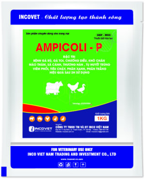 AMPICOLI – P