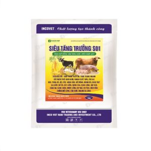 SIÊU TĂNG TRƯỞNG  S01