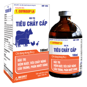 HÔ HẤP PHỨC HỢP