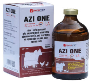 AZI ONE