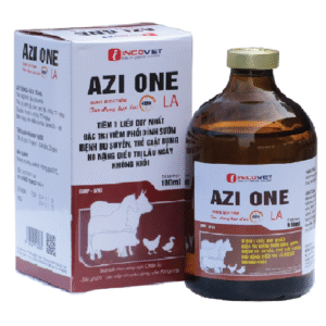 AZI ONE