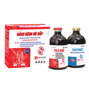 BỘ SẢN PHẨM - BÁCH BỆNH HÔ HẤP