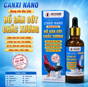 BỔ GÂN CỐT - CHẮC XƯƠNG