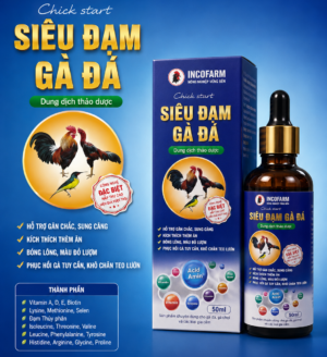 SIÊU ĐẠM GÀ ĐÁ