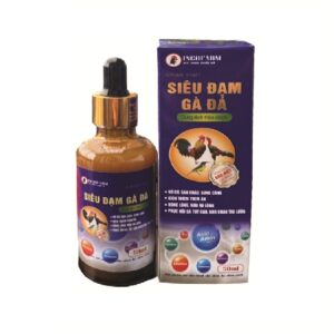 SIÊU ĐẠM GÀ ĐÁ