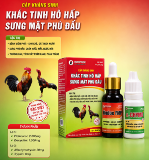 BỘ KHẮC TINH HÔ HẤP - SƯNG MẶT PHÙ ĐẦU CHIẾN KÊ