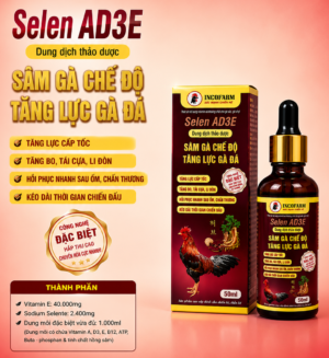 SÂM KÍCH LỰC CHIẾN KÊ